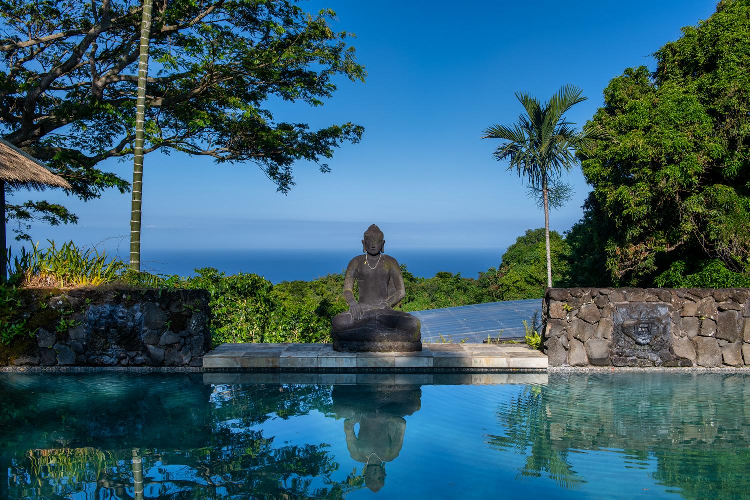 Infinity pool overlooking the Kona coastline at Hale Lauleʻa, a luxury estate in Holualoa