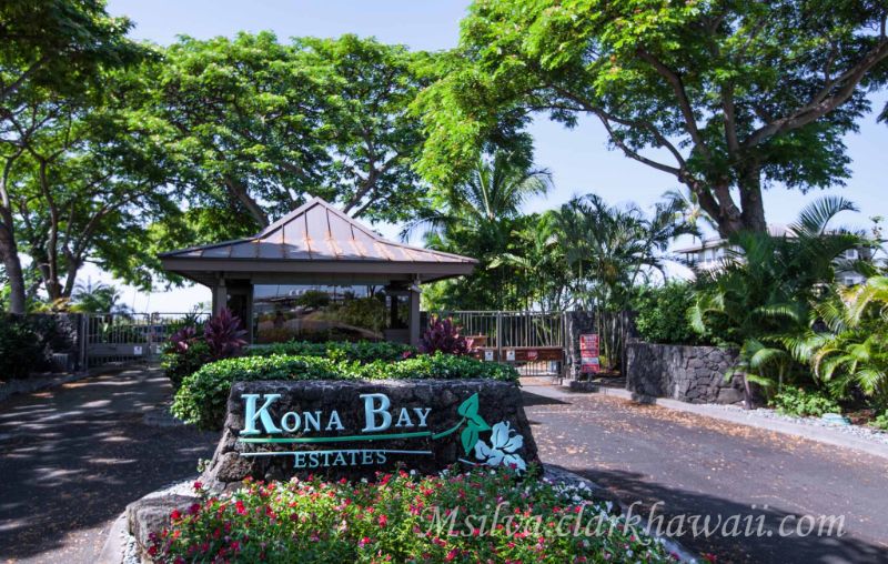 Kona Oceanfront Land Update