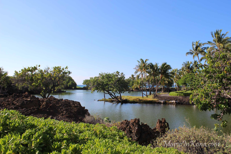 The Mauna Lani Resort