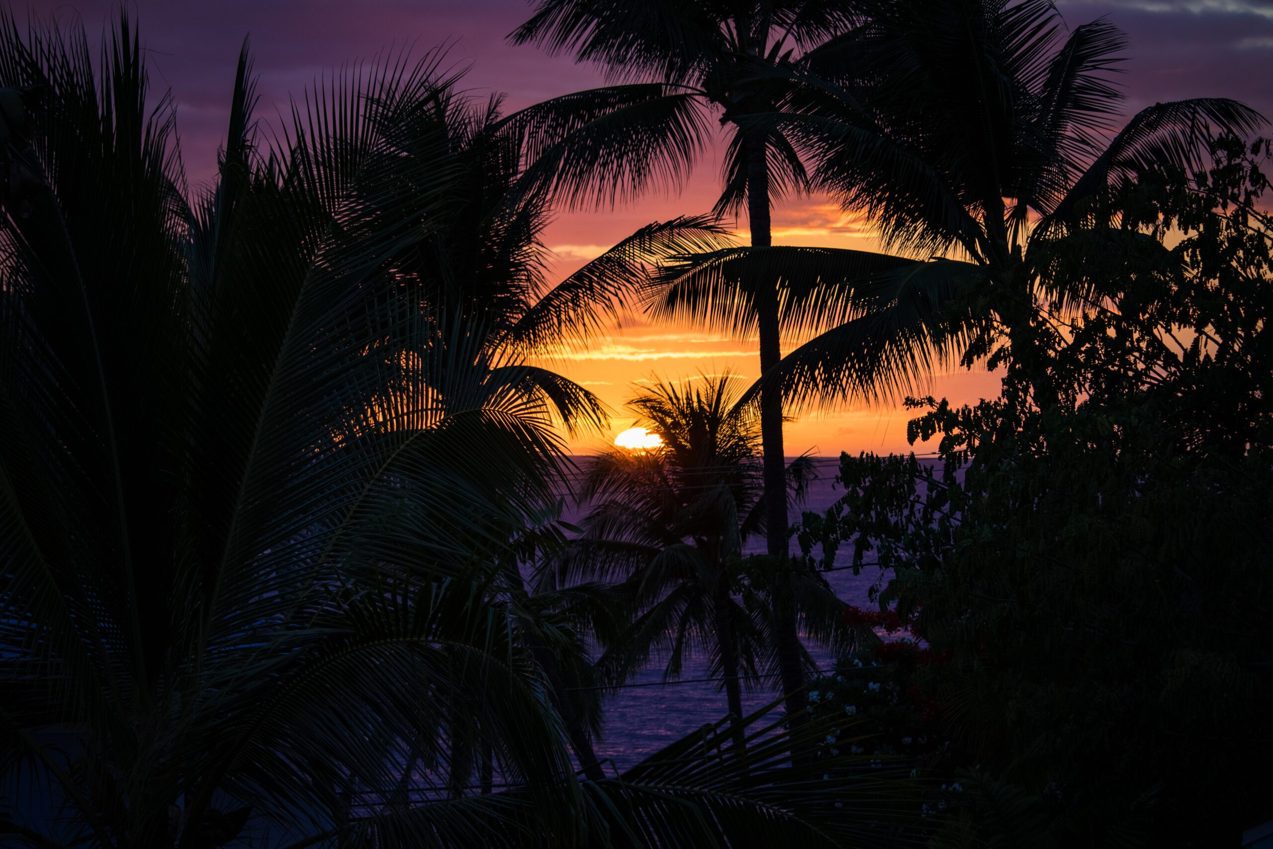 How To Choose The Right Location For You In Kona